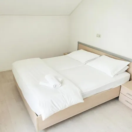 Ruime Vakantiewoning Dicht Aan Het 度假居
